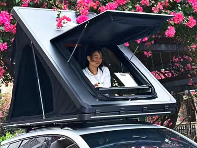 Roof Window